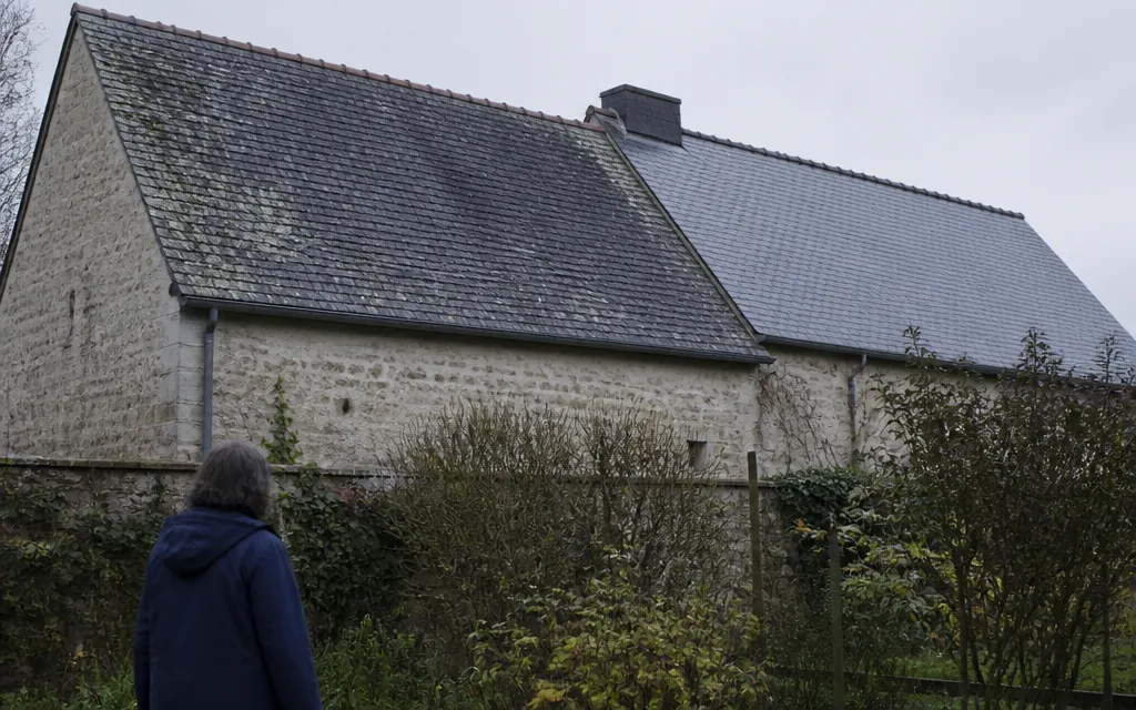 Versant nord d’un pavillon entièrement pris par le lichen, la ligne de faîtage encore propre au-dessus