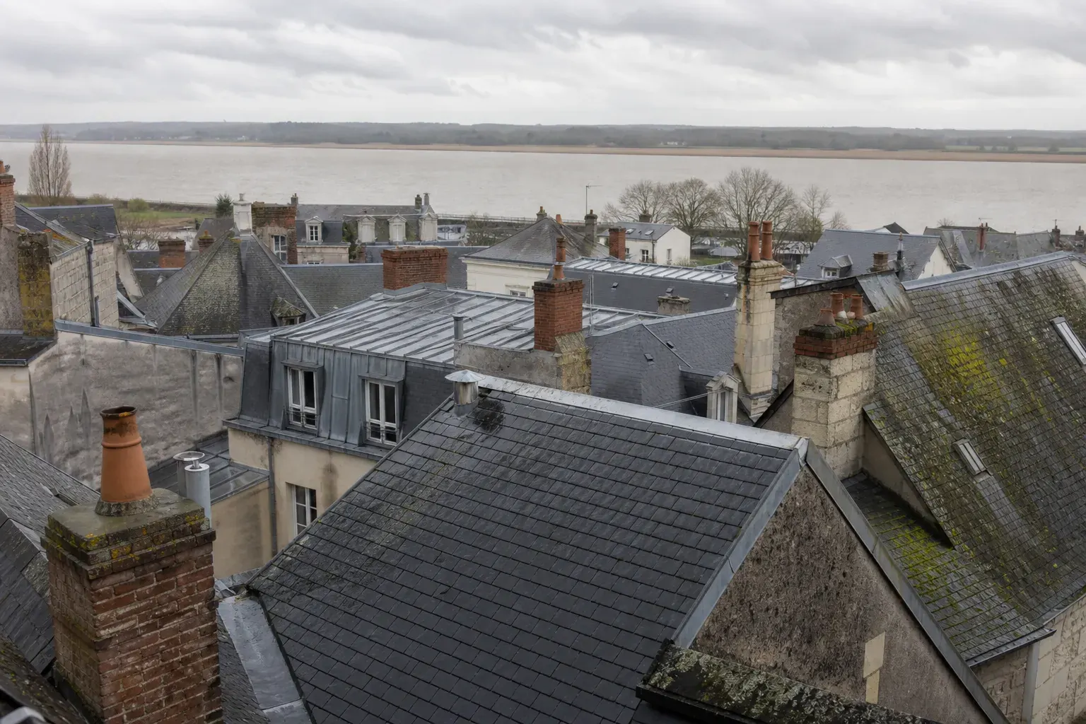 Toits d’ardoise en enfilade au-dessus d’un quartier nantais, la Loire devinée au fond entre deux pignons